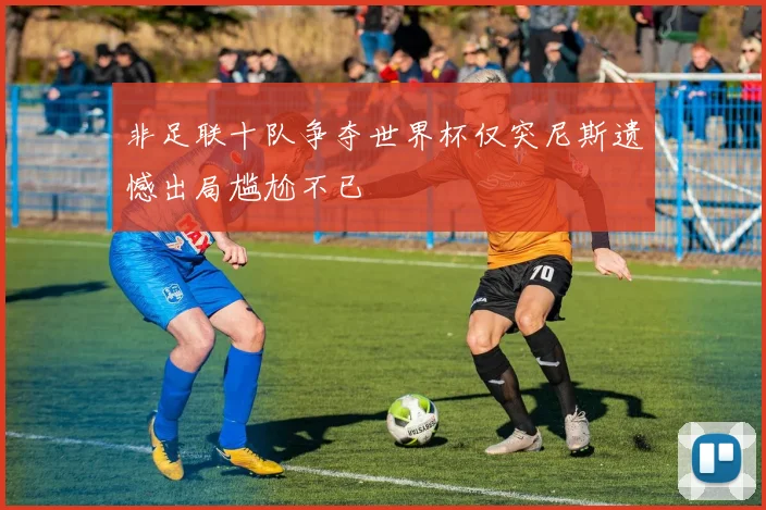 非足联十队争夺世界杯仅突尼斯遗憾出局尴尬不已